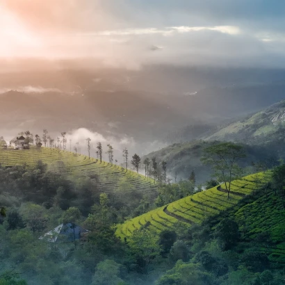 Munnar